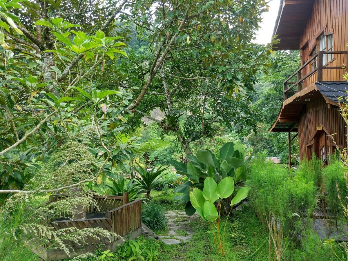 Canyon Jungle Stay Bukittinggi Dış mekan fotoğraf