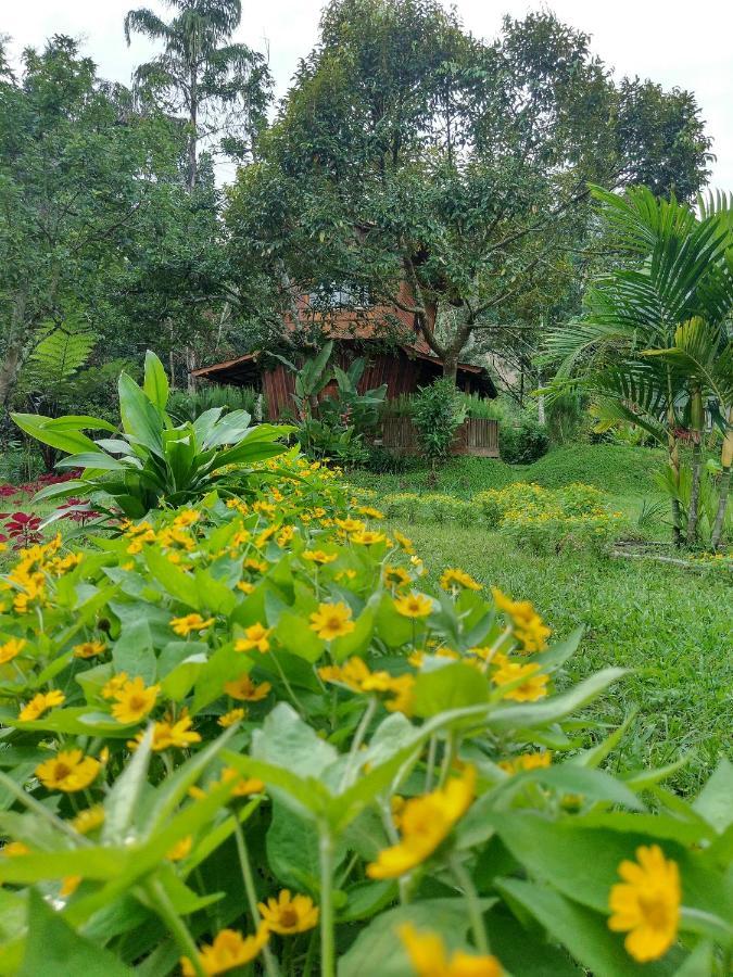 Canyon Jungle Stay Bukittinggi Dış mekan fotoğraf