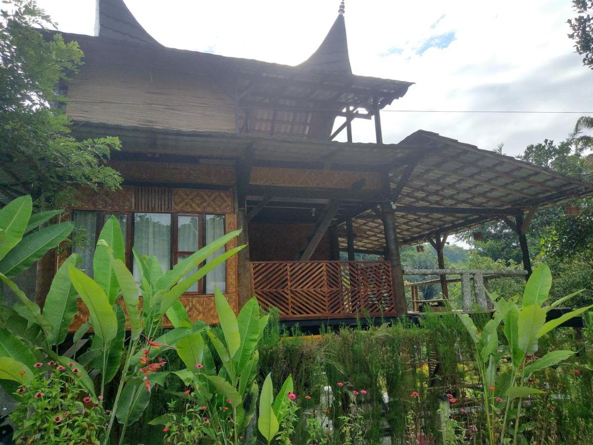 Canyon Jungle Stay Bukittinggi Dış mekan fotoğraf