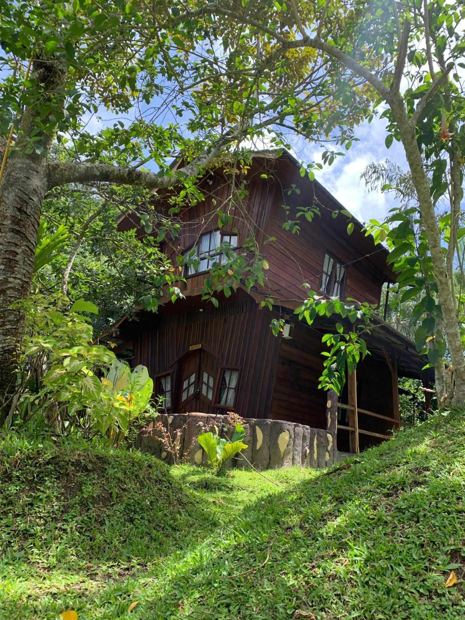 Canyon Jungle Stay Bukittinggi Dış mekan fotoğraf